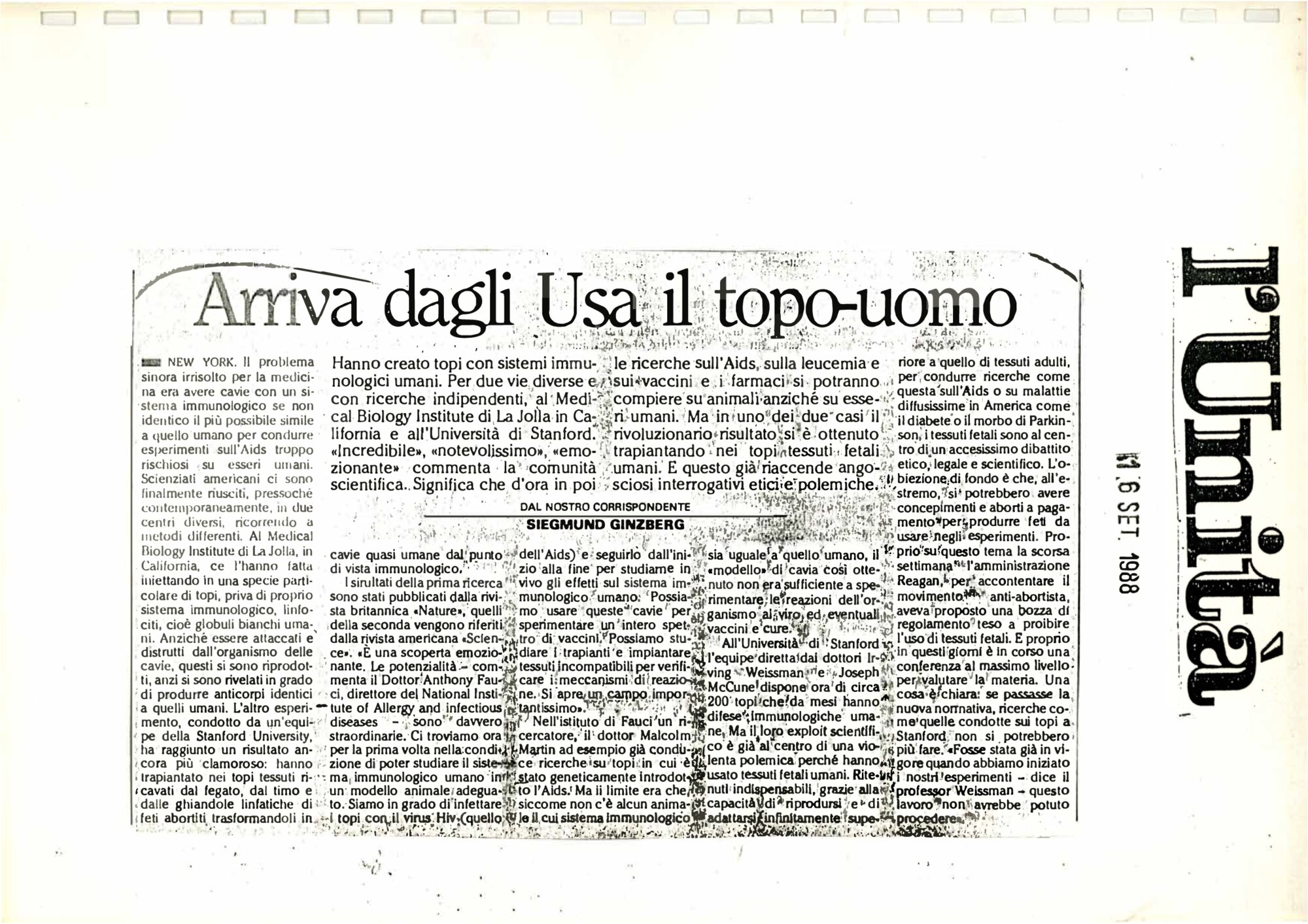 RS_17_1988-89_011.pdf
