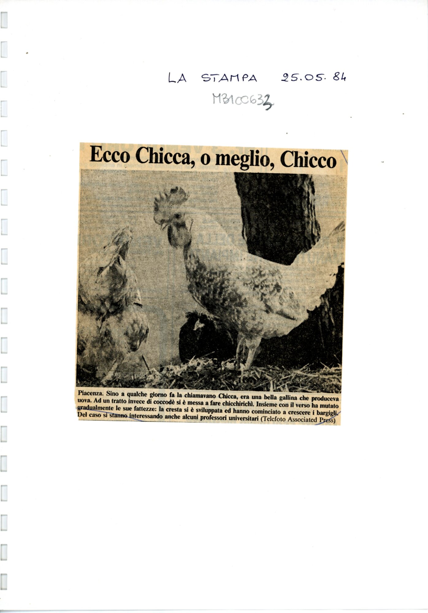 RS_4_1984_443.pdf