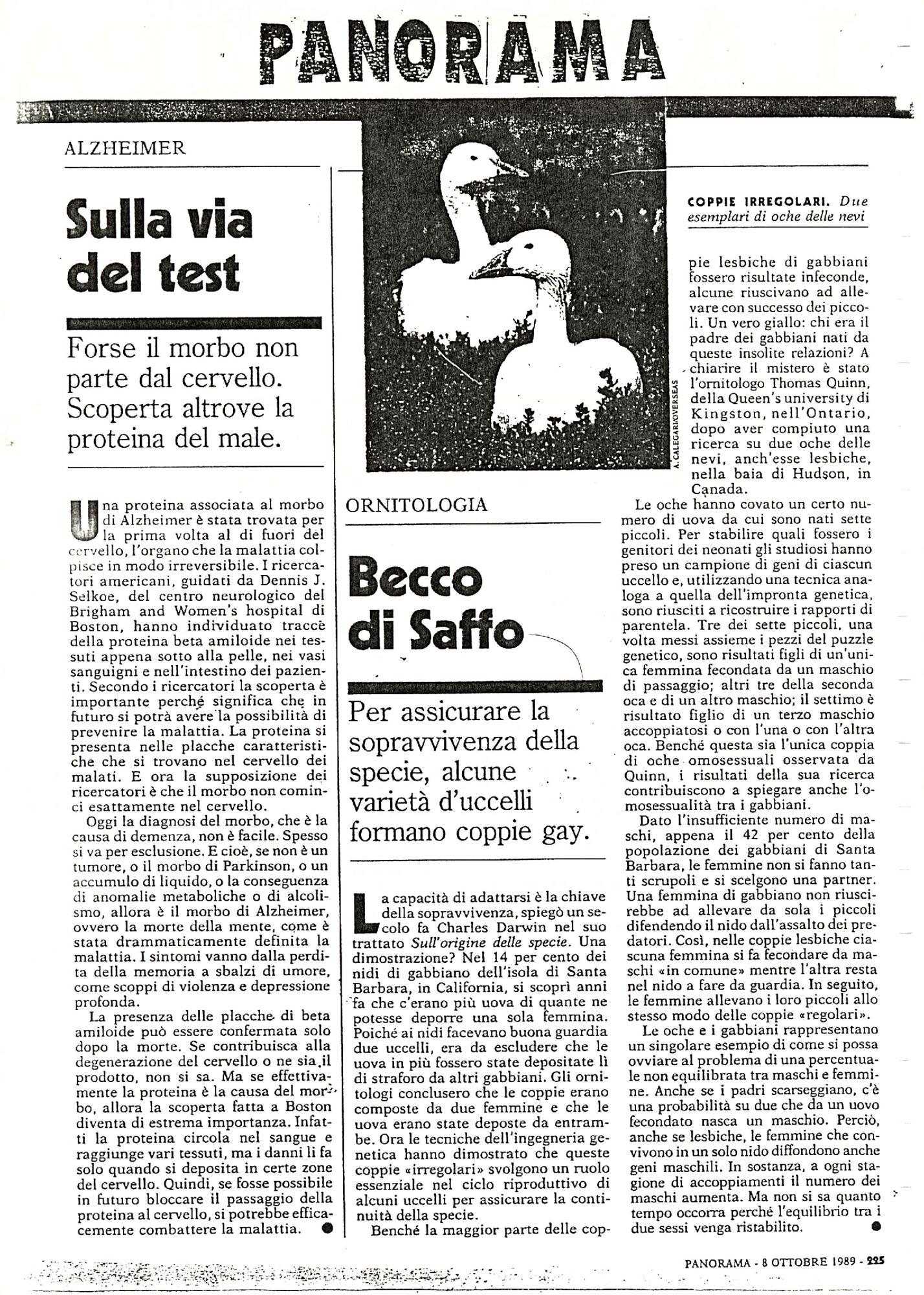 RS_21_1989-1990_232.pdf