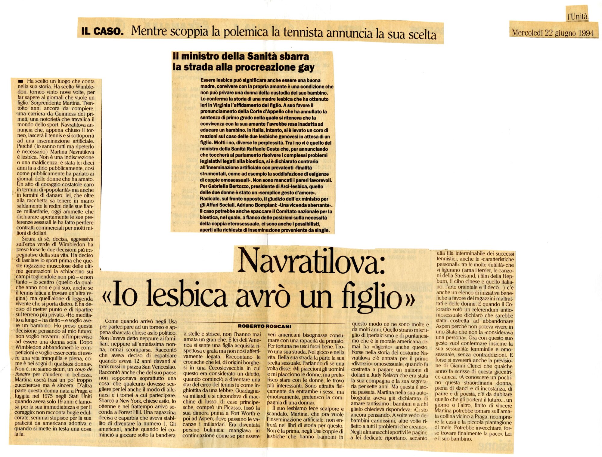 RS_33_1994_294.pdf
