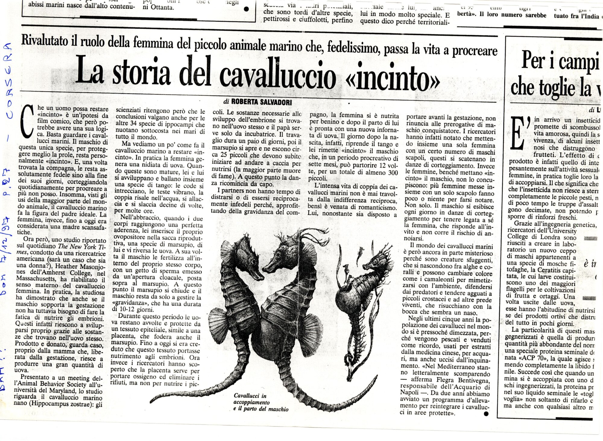 RS_43_1997_272.pdf