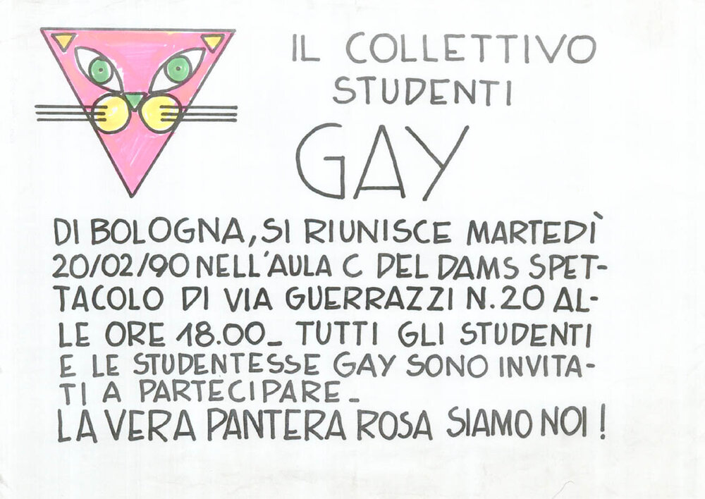 La vera pantera rosa siamo noi! (1990) 