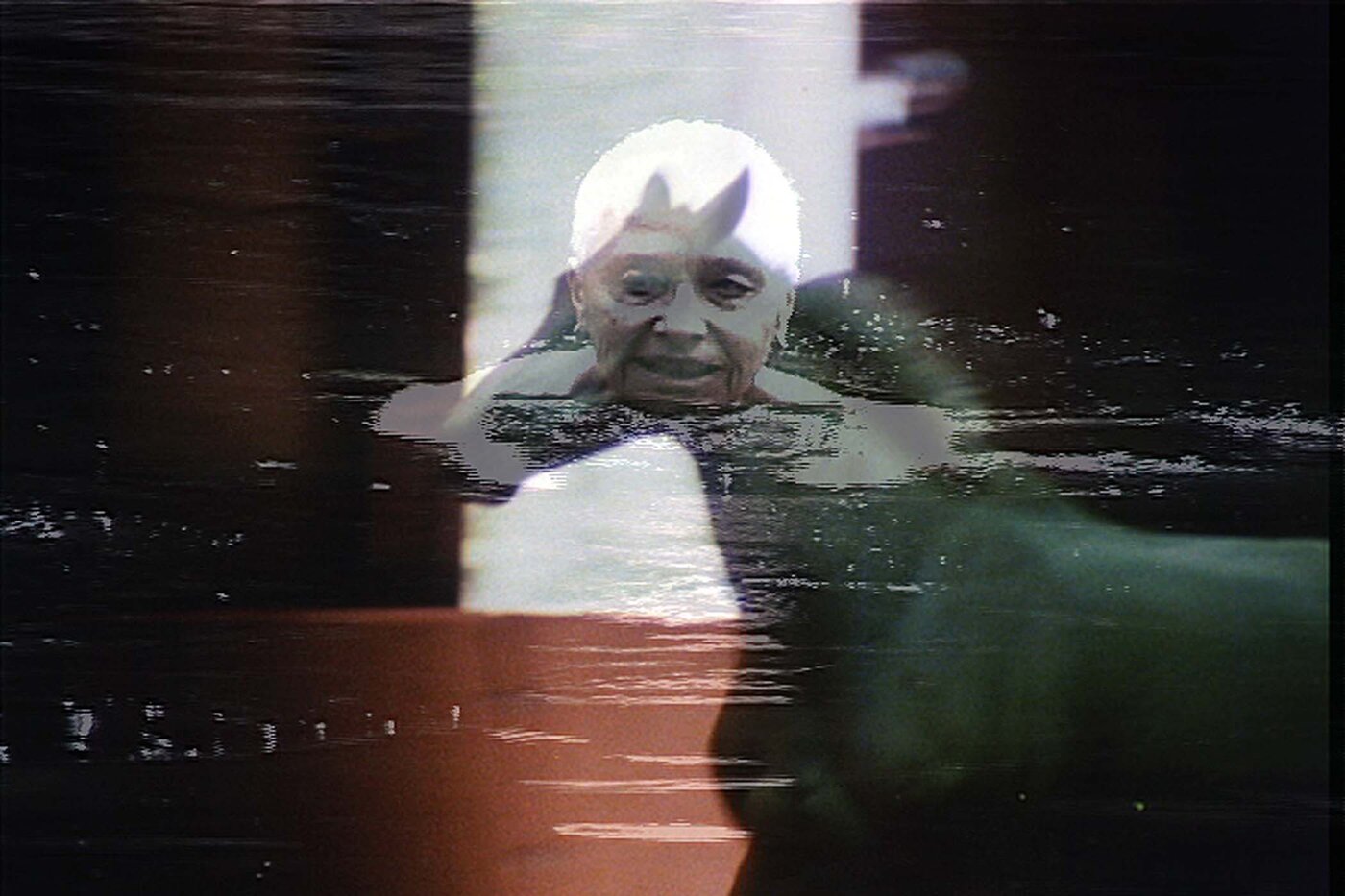 A Horse Is Not A Metaphor.jpg