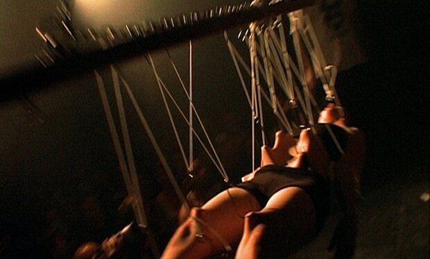 No Body Is Perfect.jpg