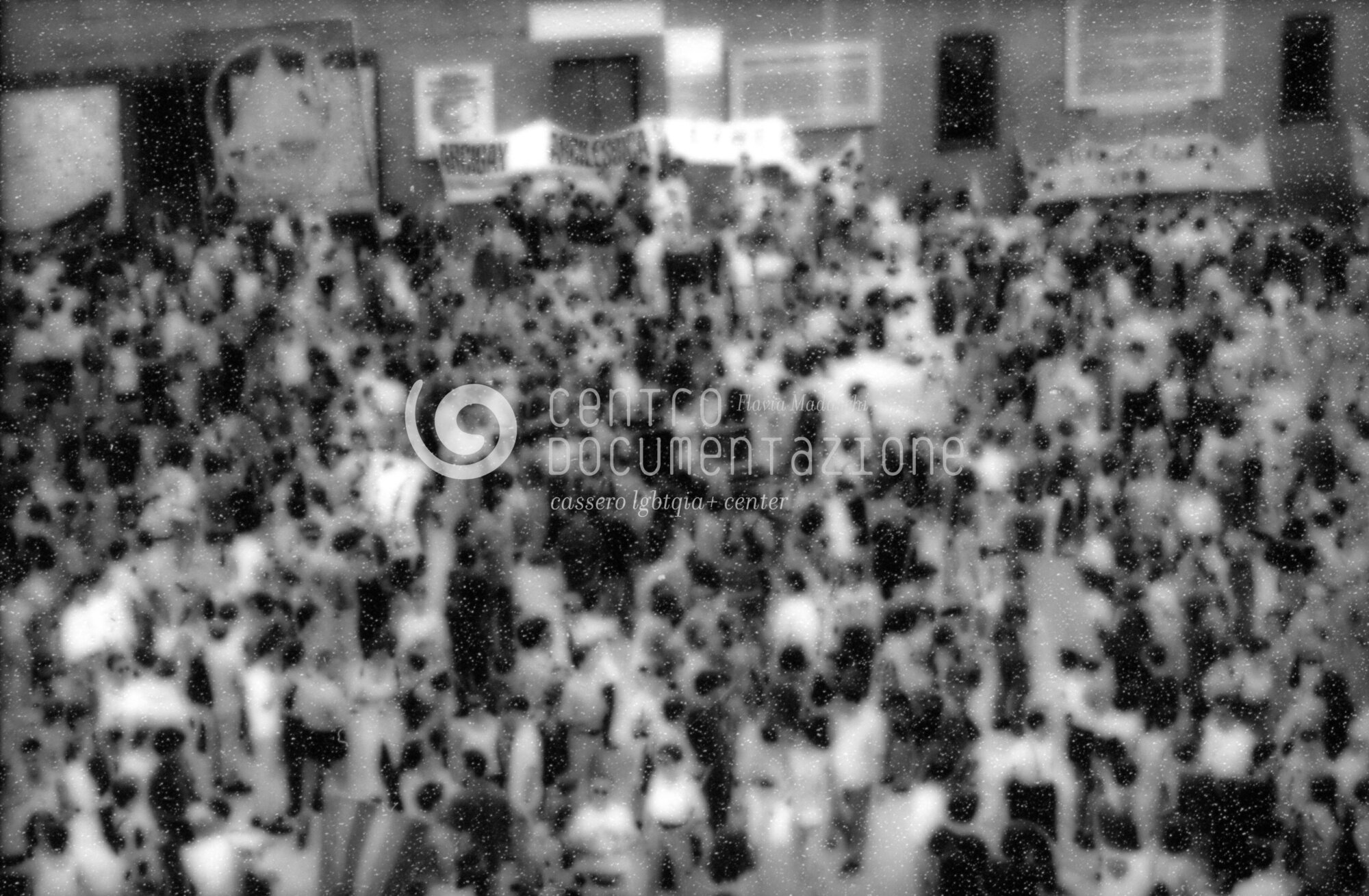 F2_2_3_116_08_watermarked.jpg