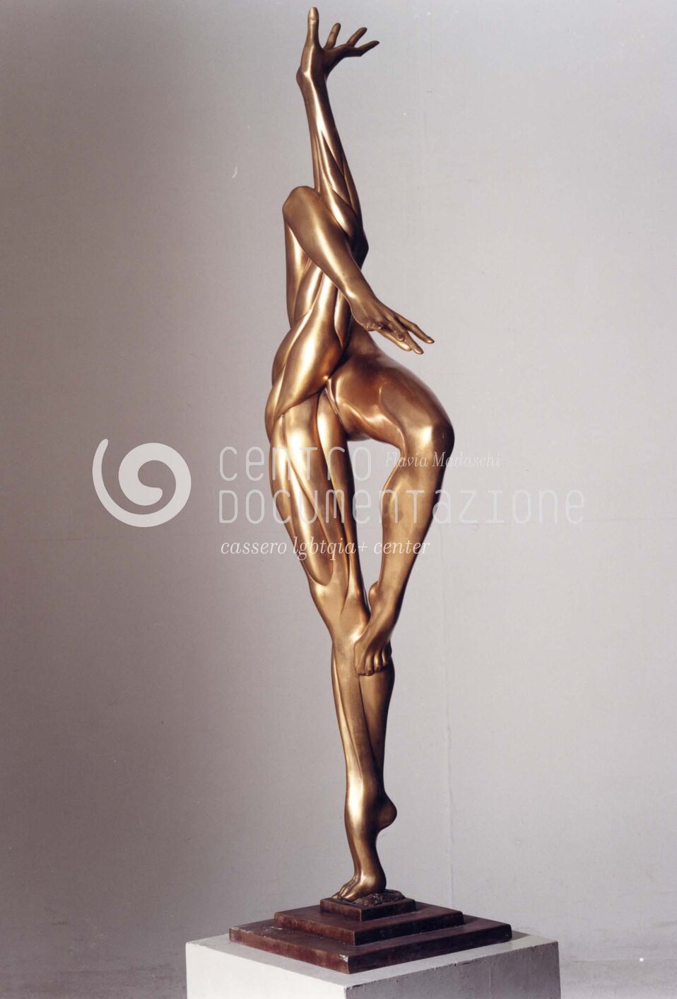 F1_4_5_60_watermarked.jpg
