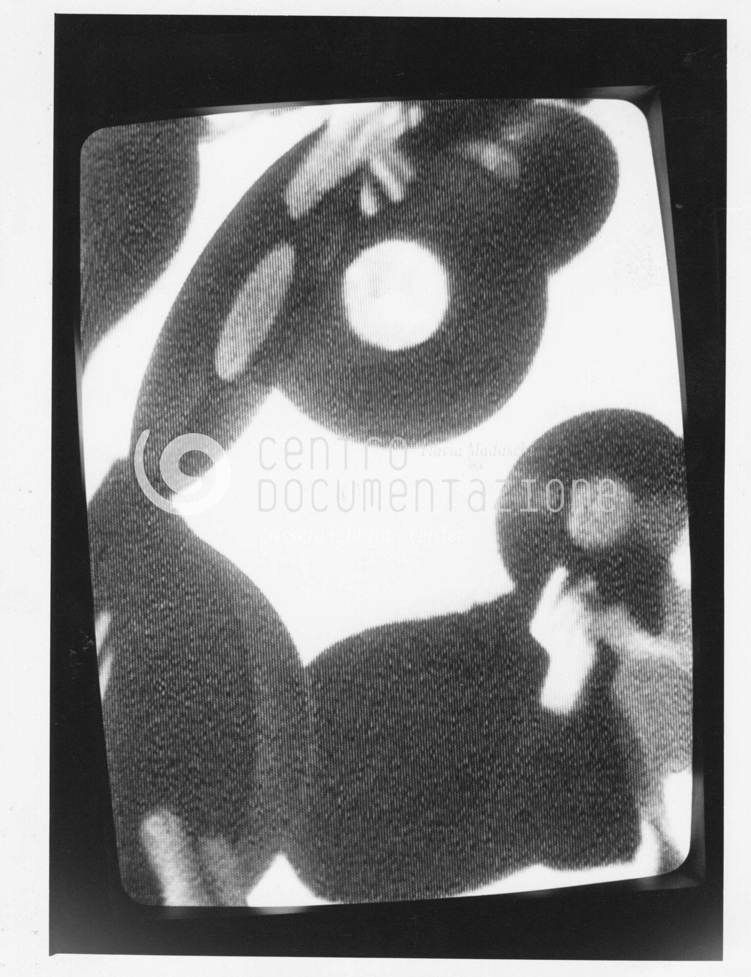 F1_4_5_85_watermarked.jpg