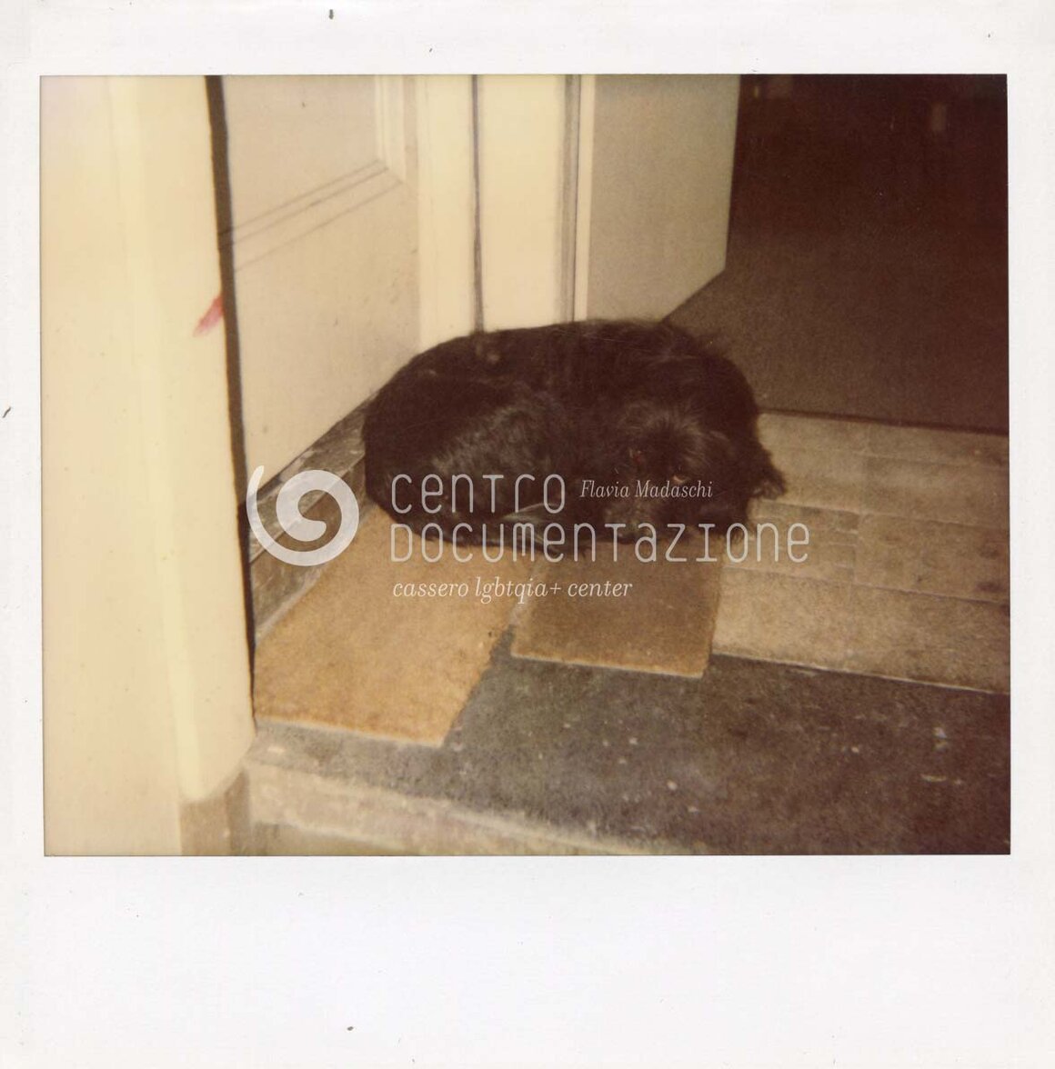 F1_6_1_45_watermarked.jpg