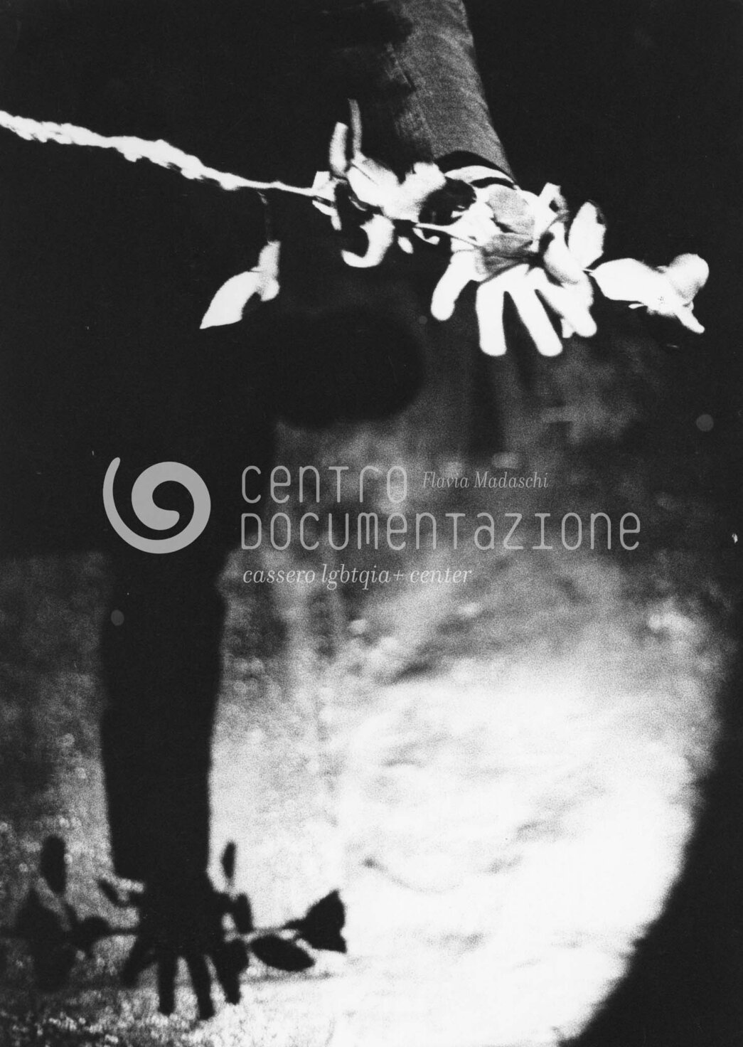 F1_2_2_40_watermarked.jpg